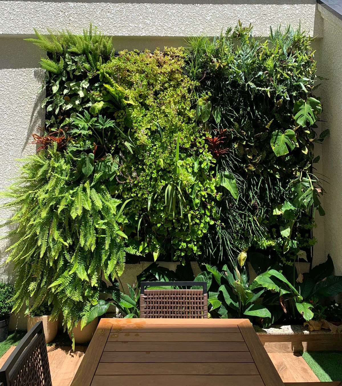 Jardim Vertical - 3