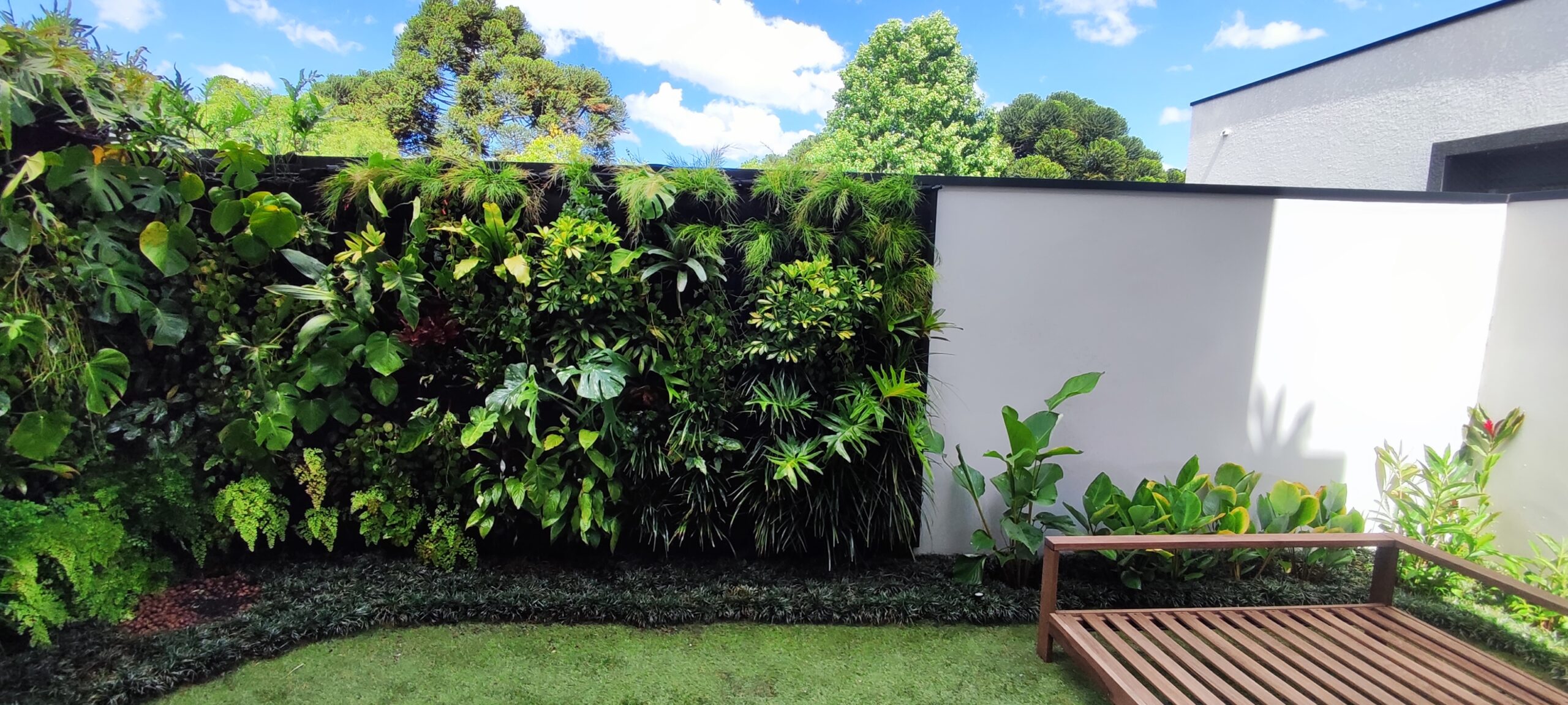 Jardim Vertical - 6
