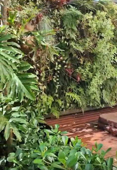 Vídeo do Jardim Vertical