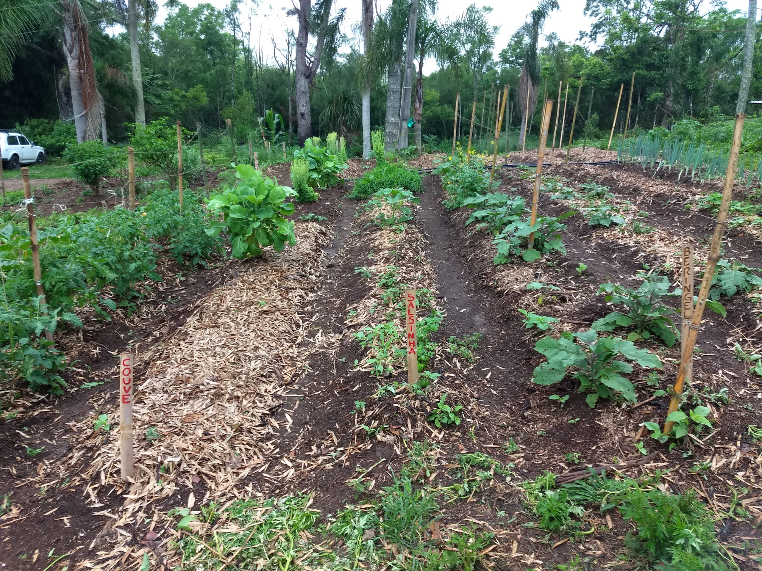 Cultivo agroecológico urbano