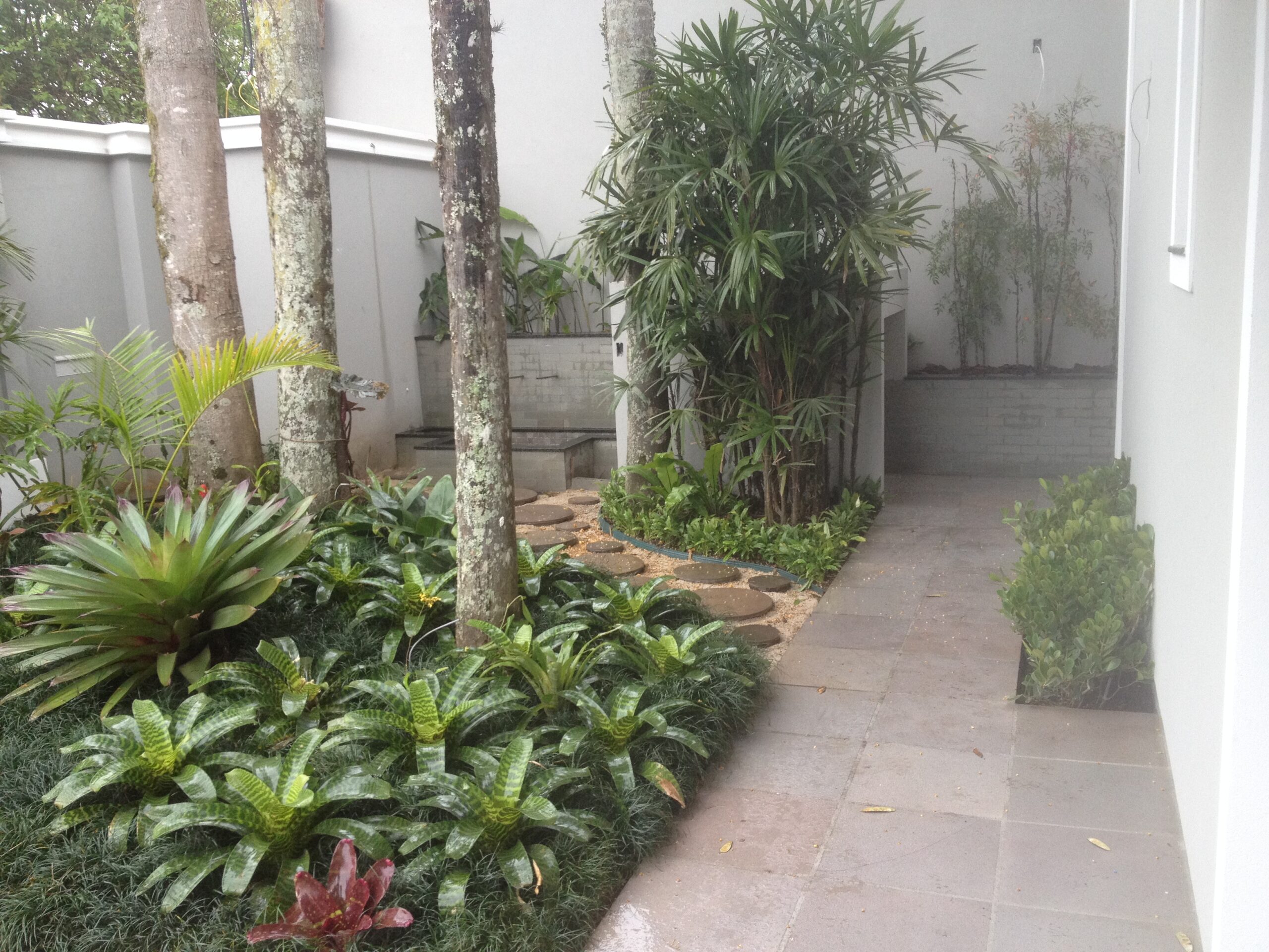 Projeto de paisagismo
