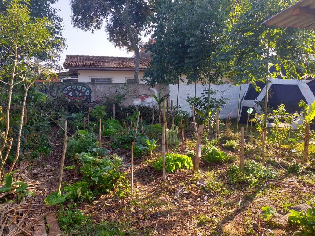 Agricultura urbana